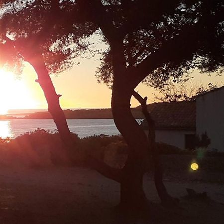 Le Studio Remcam Saint-Mitre-les-Remparts Bagian luar foto